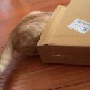 VUE 53转租&房东直租