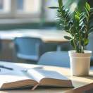 运营部-刘经理的头像-全端云,陪玩交友源码,搭子组局系统源码