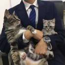 黄宗泽