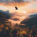 辞安的头像-澳门国际