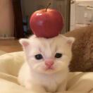 11111kk的头像 - 校园论坛