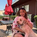 A 小梅认证咨询