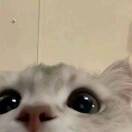 郭才艺