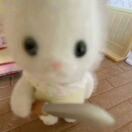 剑桥求租