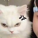雯04551??