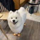 价低先到先得