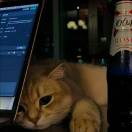 u客直谈实名认证郭宇翔