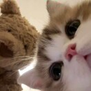 陆_小帥📷头像