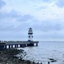 福星高照的头像-秀琴曲谱网