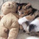 Herbal Hill Studio转租&房东直租