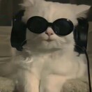 AW