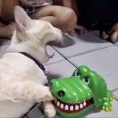 青叶弥生的头像-博士钣金 - www.bsbanjin.com