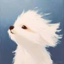 用户25807628的头像-6688GM