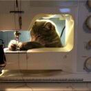 Wick Park转租&房东直租