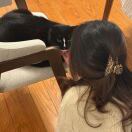 house 没有名称转租&房东直租