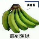 用户63669998的头像-VAM®克苏恩资源社区