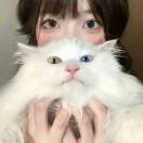 徐靖怡