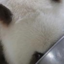 邹先生