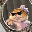 8&24的头像-医学电子书