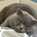 暮岁的头像-博士钣金 - www.bsbanjin.com