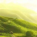 何雄英丨数智城市建设的头像-熵减岛