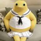 。。。。。