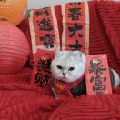 志伟头像