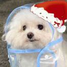 3/6 87 Dunlop Street, Glasgow G1 4ET转租&房东直租