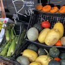 Roman House转租&房东直租