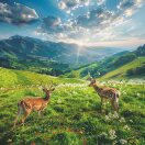 u客直谈实名认证陈先生