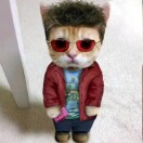 user_egty4543k1yxaj42 member profile picture