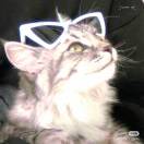user_7tefhsfnjp5p84cb member profile picture