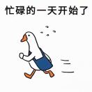 wx_风雨兼程82