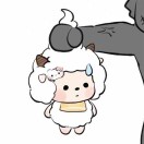 张先生