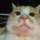 第七页序的头像 - 校园论坛