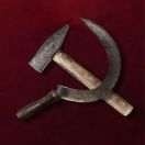 金秋的头像-熵减岛