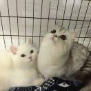 用户评价