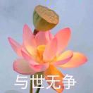 布里斯托求租