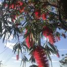 用户23514356的头像-华闻时空