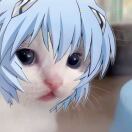 西雅图(华盛顿州)求租