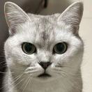 MoKe