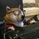 liumu@的头像-棉花糖会员站