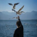 唐先生的头像-创薯资源