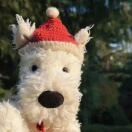 用户32681096的头像-工欲善其事，必先利其器宋辞云创