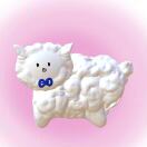 PLATFORM_转租&房东直租