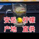 A安岳柠檬🍋产地销售-黄正