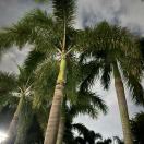 知足知不足-博士钣金 - www.bsbanjin.com