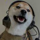 天使丿好玩哥的头像 - 校园论坛