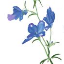 Profile picture of 670570912