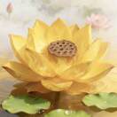 朋阳养老小迪